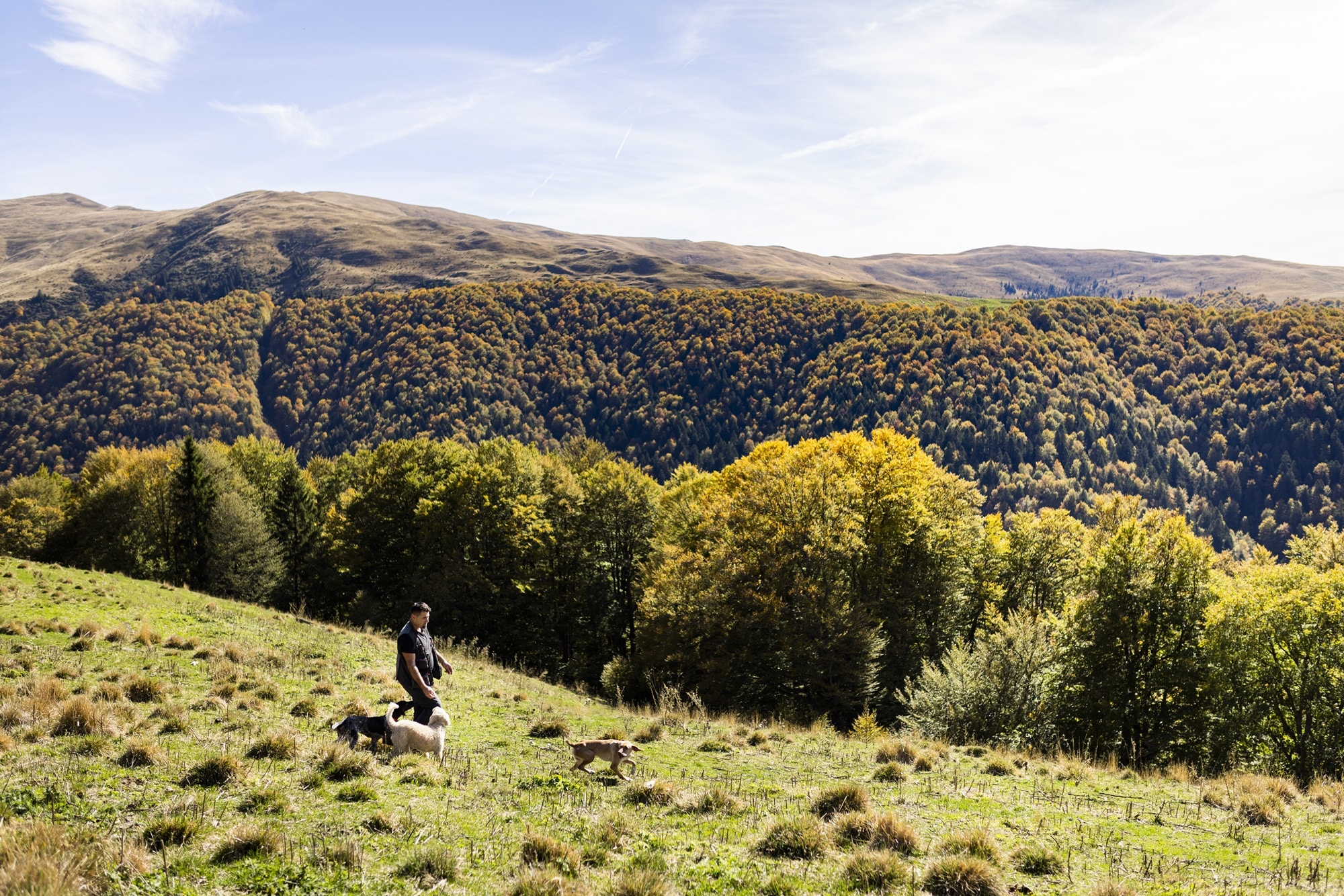 Truffle region of Prahova County