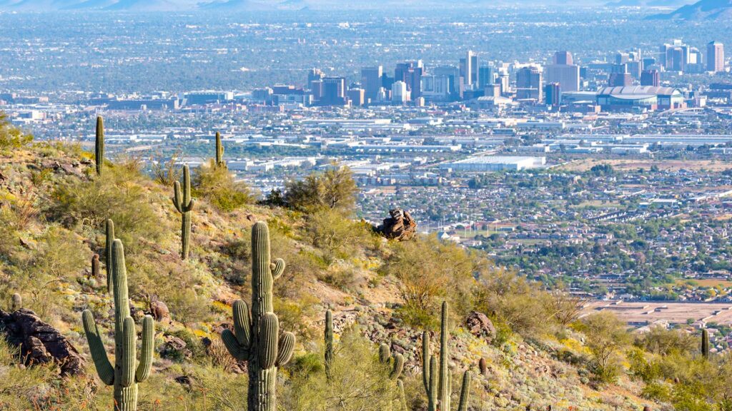 Hiking trail with cacti overlooking Phoenix.