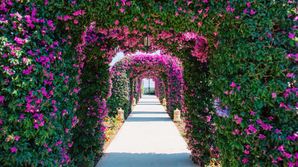 garden at The St. Regis Mardavall Mallorca Resort