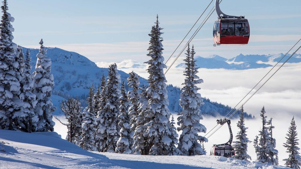 a gondola lift above snowy trees in Whistler, Canada